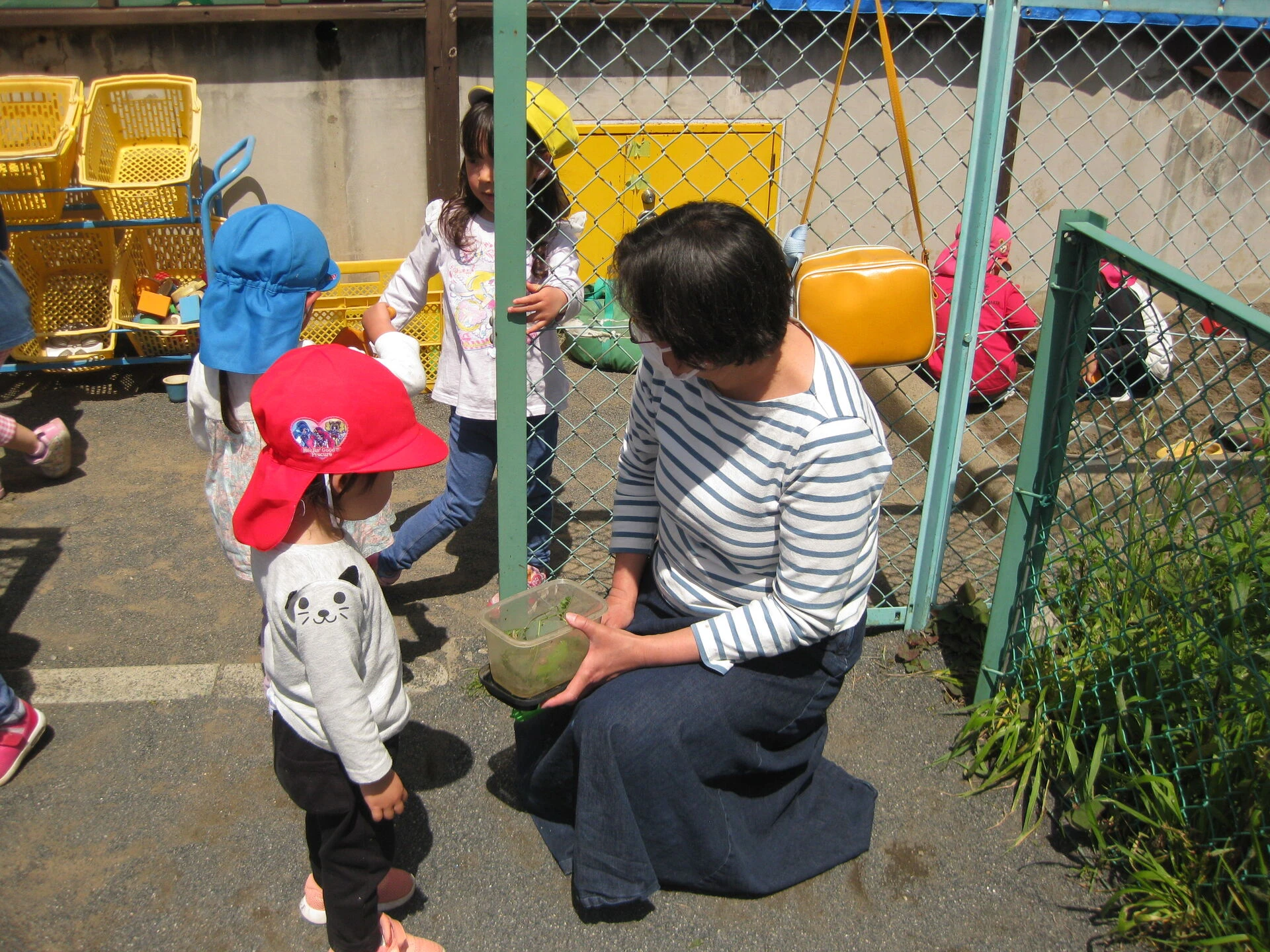 IMG_0097.JP