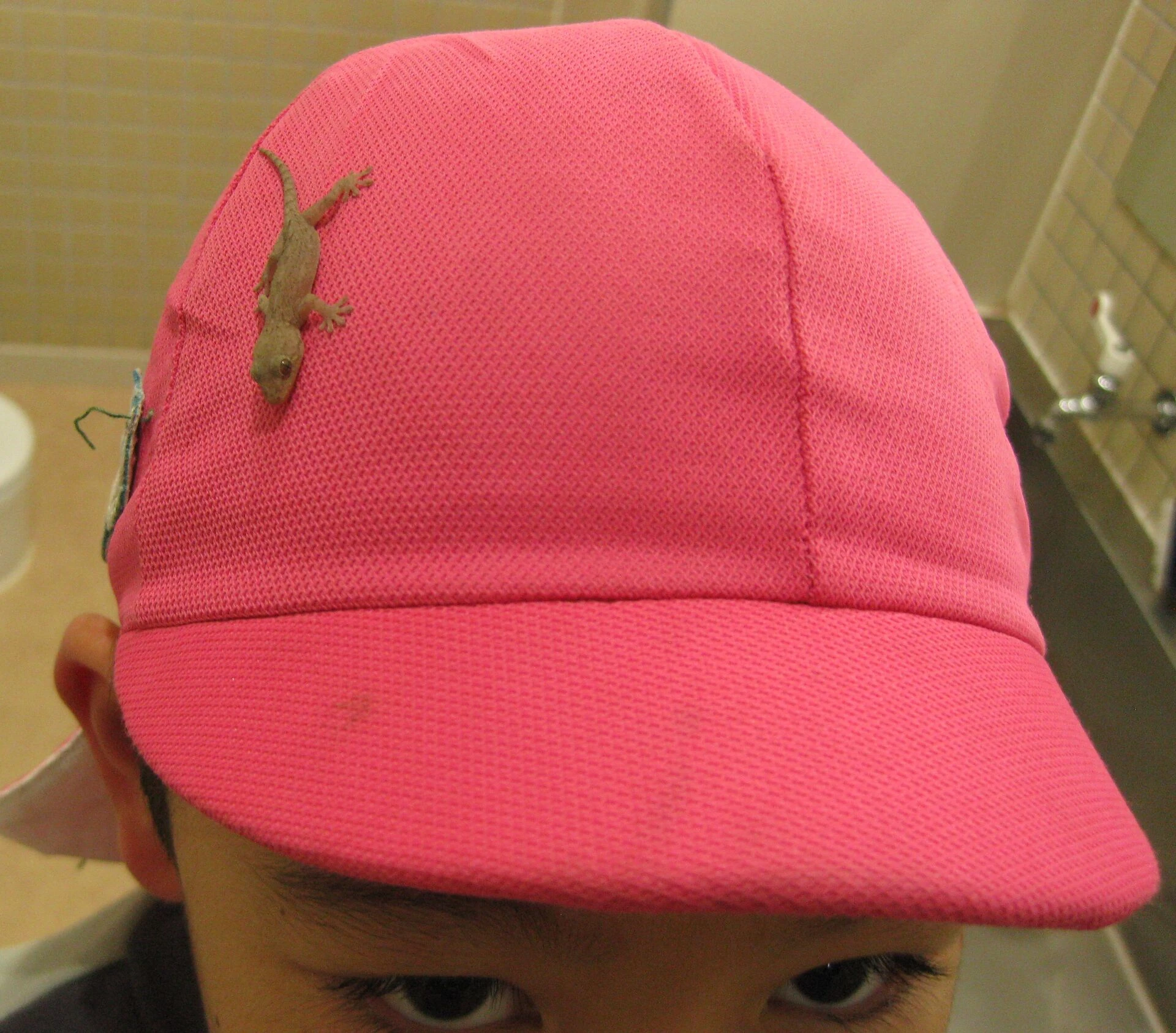 IMG_0211.jp